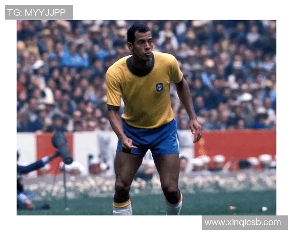 两字球星闪耀绿茵场 足坛传奇人物盘点与回顾 两字球星闪耀绿茵场 足坛传奇人物盘点与回顾